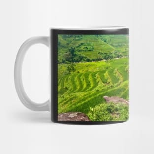 Rice Terraces. Mug